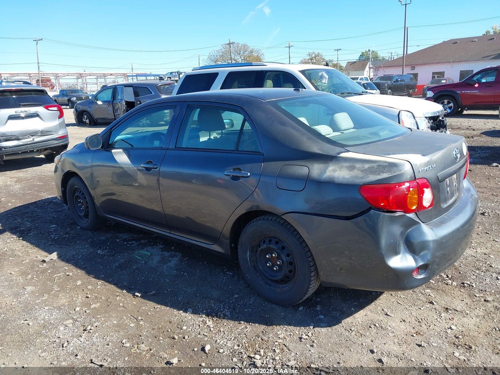 2009 Toyota Corolla LE photo 3