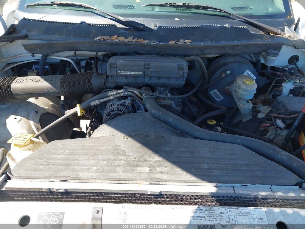 1998 Dodge RAM 1500 ST/WS photo 10