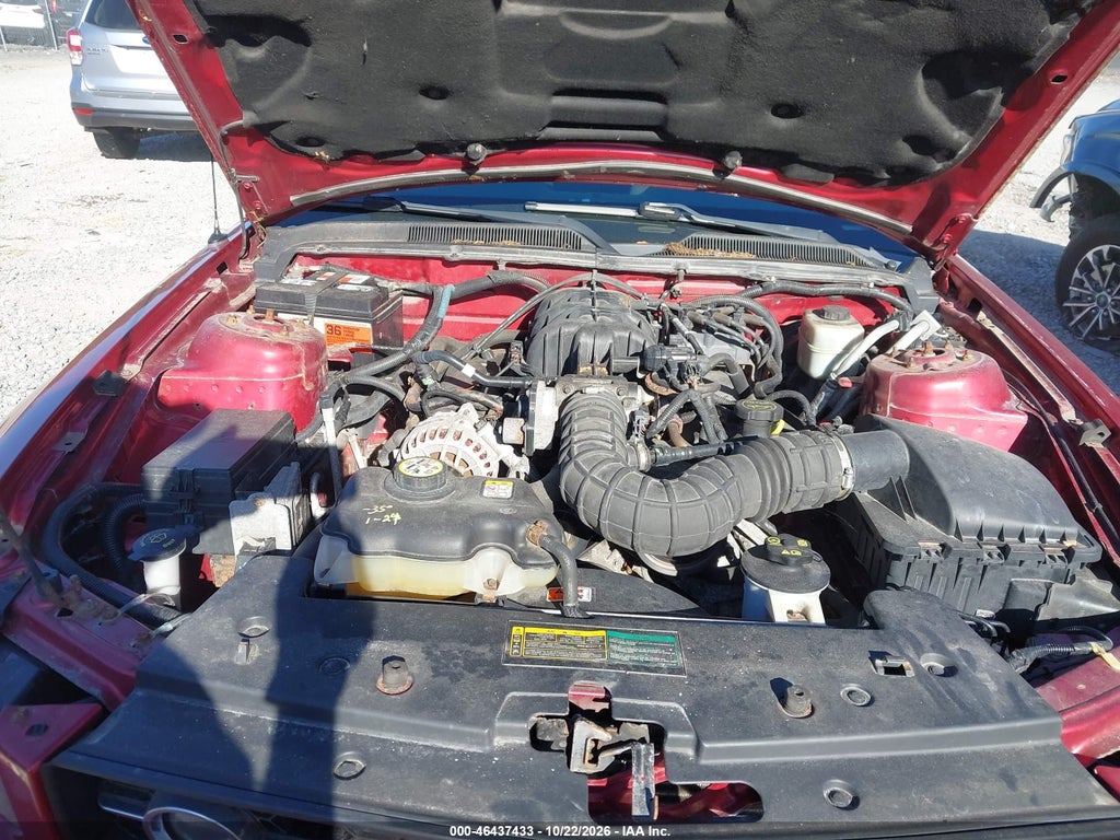 2007 Ford Mustang V6 Deluxe/V6 Premium photo 10