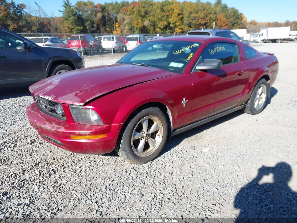 2007 Ford Mustang V6 Deluxe/V6 Premium photo 2