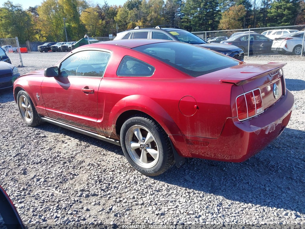 2007 Ford Mustang V6 Deluxe/V6 Premium photo 3