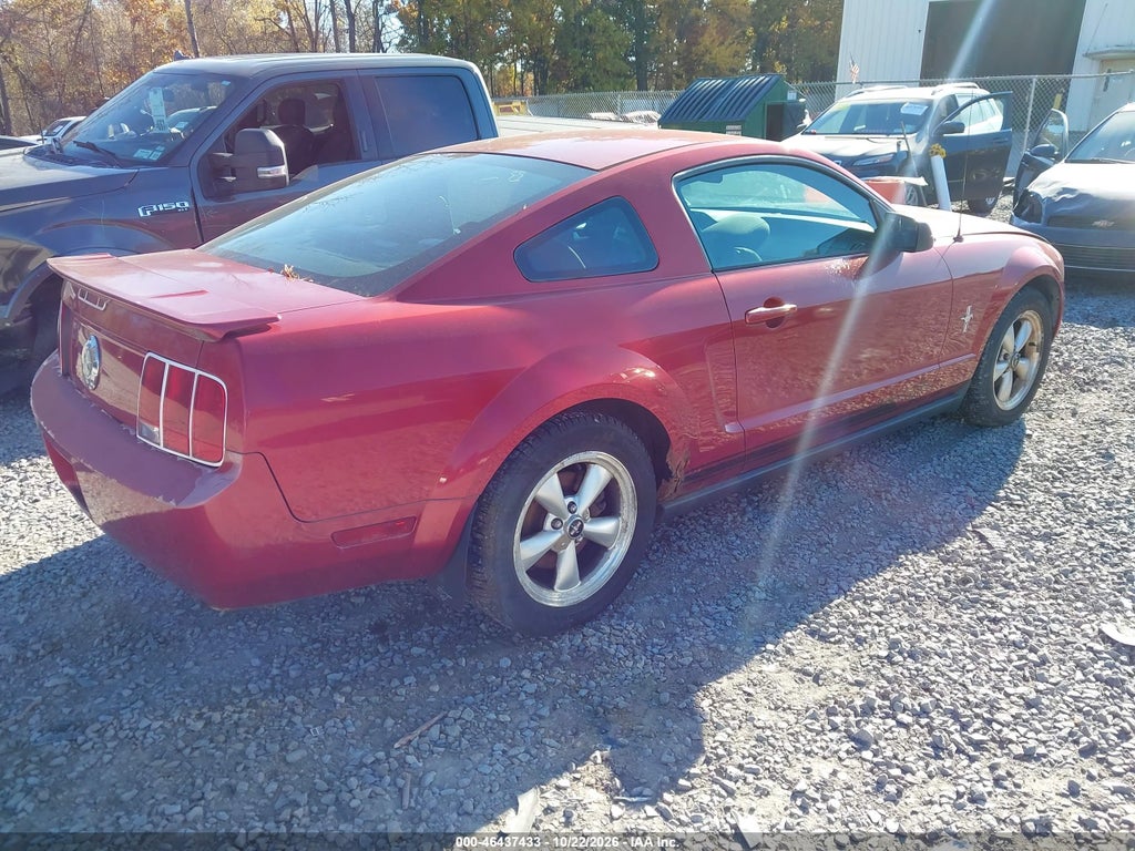 2007 Ford Mustang V6 Deluxe/V6 Premium photo 4