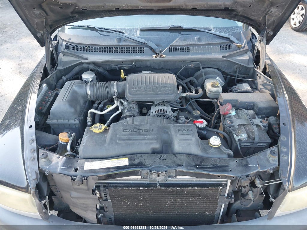 2004 Dodge Dakota photo 10