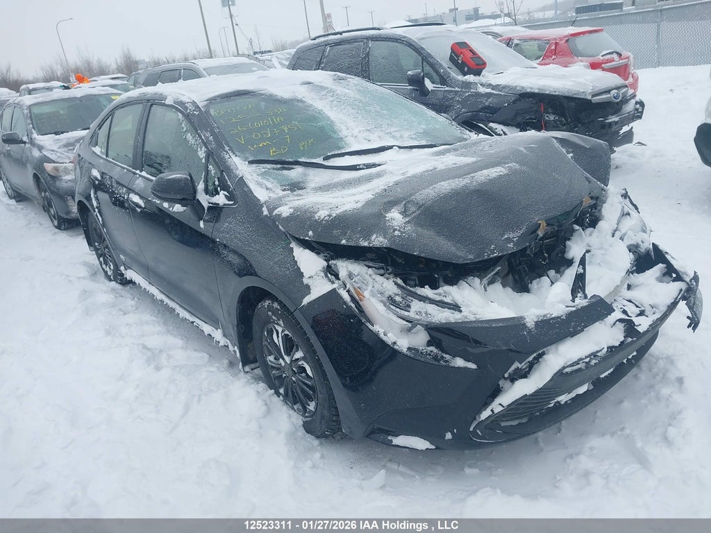 TOYOTA COROLLA HYBRID 2026