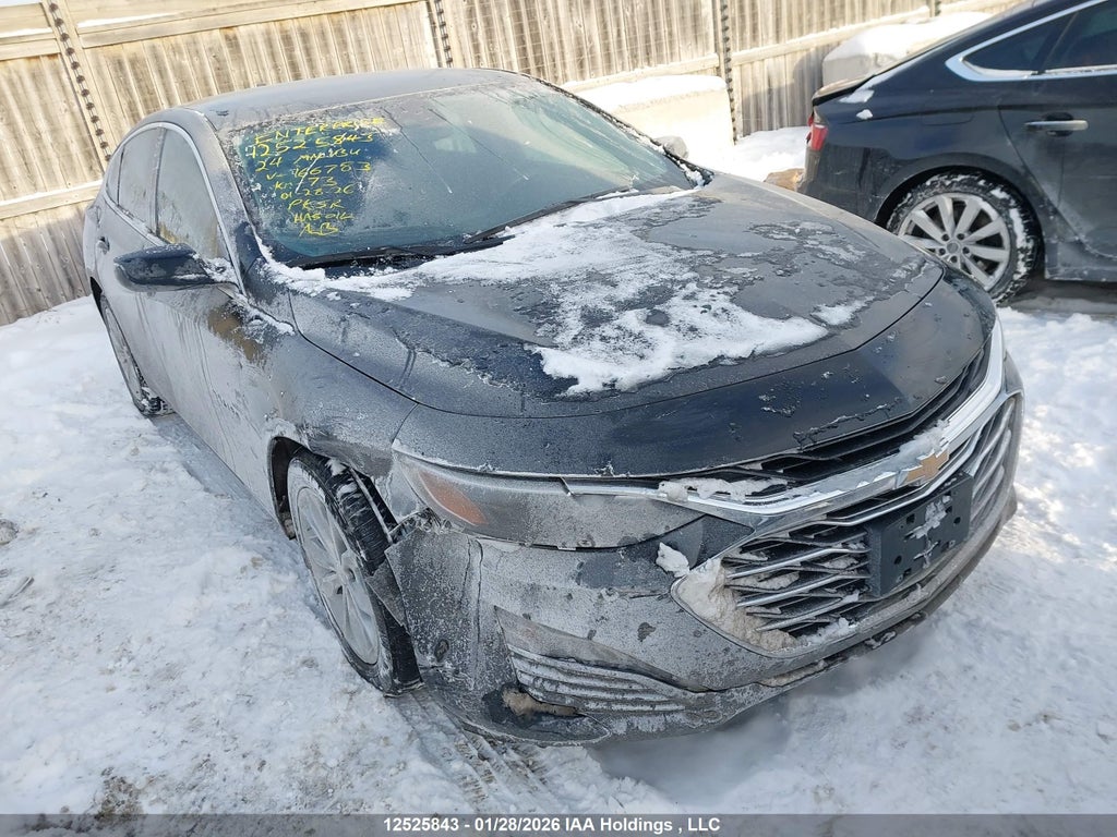 CHEVROLET MALIBU 2024