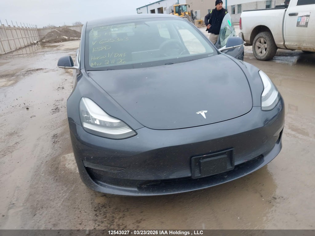 TESLA MODEL 3 2020