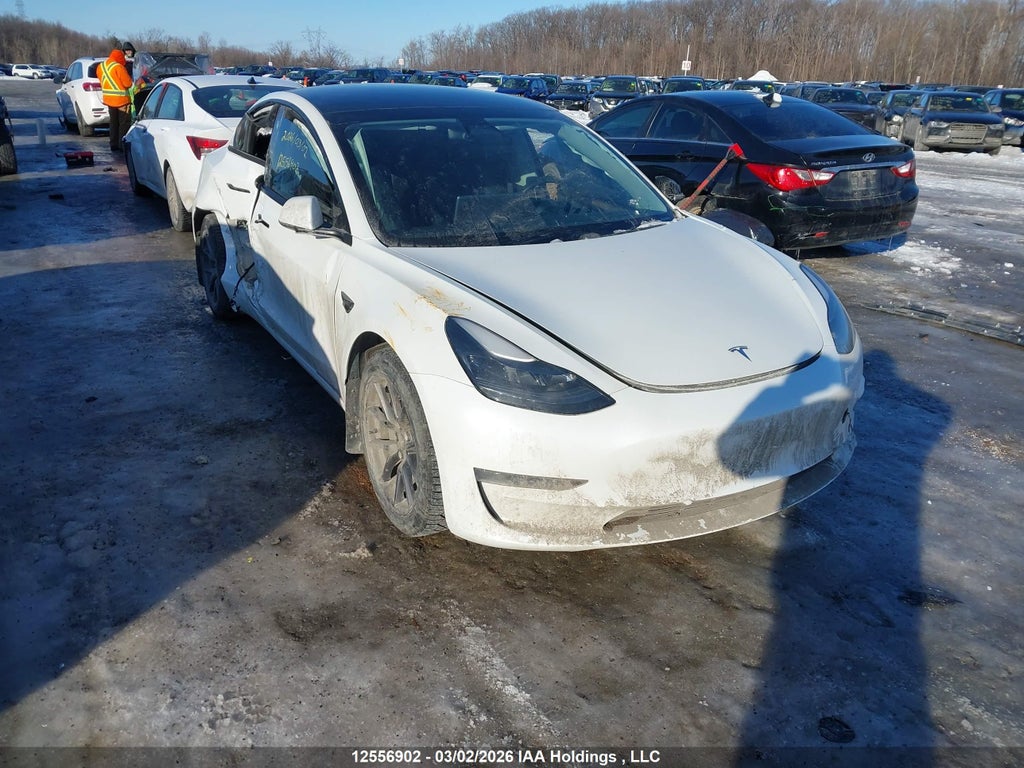 TESLA MODEL 3 2021