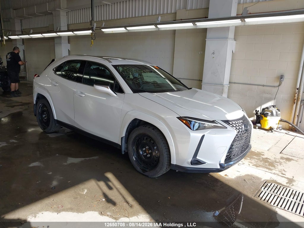 LEXUS UX 300H 2025