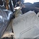 1FTEW2LP7RFB44311 2024 Ford F150 Stx auction photo thumbnail 10