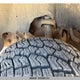 1GCHK23U55F851285 2005 Chevrolet Silverado K2500 Heavy Duty auction photo thumbnail 24