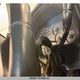 1GTEC14V51Z288250 2001 GMC New Sierra C1500 auction photo thumbnail 20