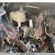 2FMPK4K88HBC38462 2017 Ford Edge Titanium auction photo thumbnail 12