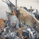1FTFW1E15JFE05091 2018 Ford F150 Supercrew auction photo thumbnail 5