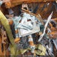 2HGFE2F37PH100905 2023 Honda Civic Ex auction photo thumbnail 7