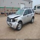 1FMCU9D79AKB24377 2010 Ford Escape Xlt auction photo thumbnail 2