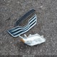 4T1BF3EK5BU700025 2011 Toyota Camry Se/Le/Xle auction photo thumbnail 12