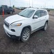 1C4PJMDS3GW343178 2016 Jeep Cherokee Limited auction photo thumbnail 2