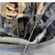 2CNALBEC1B6222790 2011 Chevrolet Equinox Ls auction photo thumbnail 36