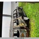 5N1AR18W25C717350 2005 Nissan Pathfinder Le/Se/Xe auction photo thumbnail 2