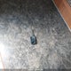 4WYT02R2981716405 2008 R-Vision Trail Cruiser auction photo thumbnail 11