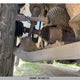 1FTPW14V88FA54163 2008 Ford F150 Supercrew auction photo thumbnail 11
