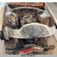 2B3KK33G48H132474 2008 Dodge Charger Sxt auction photo thumbnail 5