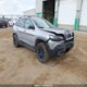 1C4PJMBX4LD613507 2020 Jeep Cherokee Trailhawk auction photo thumbnail 1