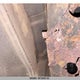 2T3BF33V09W014960 2009 Toyota Rav4 auction photo thumbnail 11