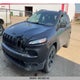 1C4PJMAS7HW536049 2017 Jeep Cherokee Sport auction photo thumbnail 2
