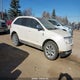2LMDU88C08BJ18272 2008 Lincoln Mkx auction photo thumbnail 1