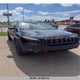 1C4PJMBS8HD234103 2017 Jeep Cherokee Trailhawk auction photo thumbnail 1