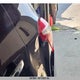 KL4CJGSBXHB145672 2017 Buick Encore Essence auction photo thumbnail 6