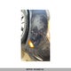 1G1PC5SB2E7255399 2014 Chevrolet Cruze Lt auction photo thumbnail 9