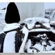 1XKDD40X18R934657 2008 Kenworth Construction T800 auction photo thumbnail 3