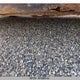 1G1AJ55F477140560 2007 Chevrolet Cobalt Ls auction photo thumbnail 12