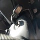 2HGFC2E50GH010083 2016 Honda Civic Lx auction photo thumbnail 11
