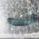 5NPET46C49H490299 2009 Hyundai Sonata Gls auction photo thumbnail 9