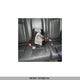 3D7KS29C16G183186 2006 Dodge Ram 2500 auction photo thumbnail 7