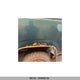 1GCEC14M2WZ118667 1998 Chevrolet Gmt-400 C1500 auction photo thumbnail 6