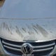 WVGBV7AX4AW528388 2010 Volkswagen Tiguan Se/Sel auction photo thumbnail 10