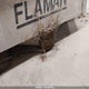 1YGUT1212FB116528 2015 Aluma Class T auction photo thumbnail 6