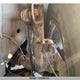 5N1AZ2MH7GN101549 2016 Nissan Murano S/Sl/Sv/Platinum auction photo thumbnail 12