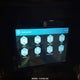 573FM433XL1114266 2020 Grand Design Rv Momentum auction photo thumbnail 13