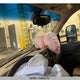 1GT12ZCG2DF109381 2013 GMC Sierra K2500 Heavy Duty auction photo thumbnail 9