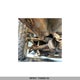 JM1BK32F581790374 2008 Mazda 3 I auction photo thumbnail 7