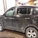 KNDPCCA29B7175770 2011 Kia Sportage Ex/Sx auction photo thumbnail 15