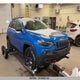 1C4PJMBX9KD446897 2019 Jeep Cherokee Trailhawk auction photo thumbnail 1