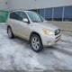 JTMBD31V676032919 2007 Toyota Rav4 Limited auction photo thumbnail 1