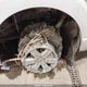 1FTFW1E55PFC50330 2023 Ford F150 Supercrew auction photo thumbnail 20