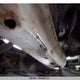 2HGFG12049H009223 2009 Honda Civic Exl auction photo thumbnail 19